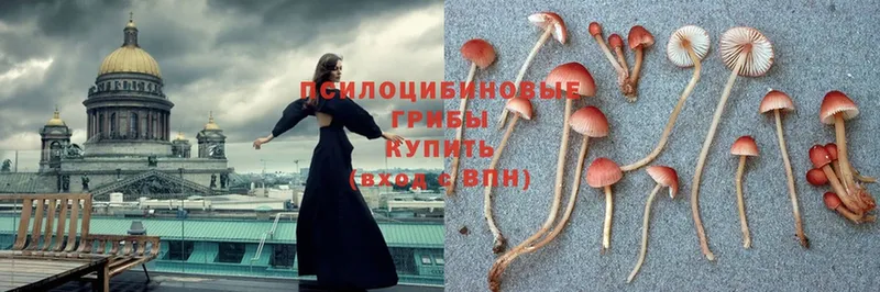 MEGA   где купить наркотик  Алдан  Псилоцибиновые грибы Magic Shrooms 